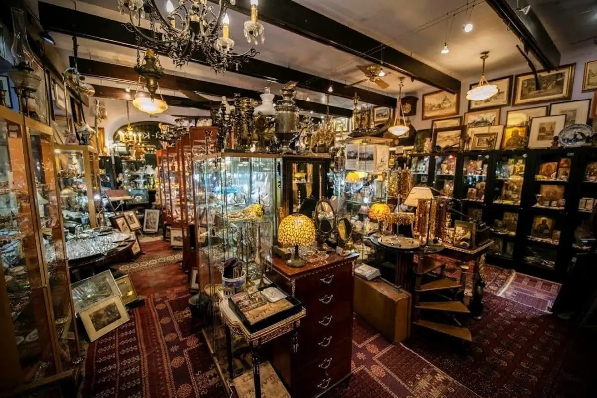Our gallery